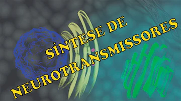Onde ocorre a síntese de neurotransmissores?