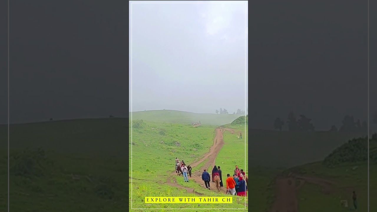 Siri Paye Hike - Adventure Awaits! 🚶‍♂️🌄 