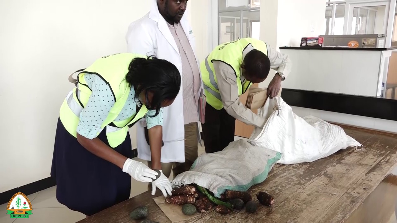DON'T IMPORT A PEST INTO KENYA