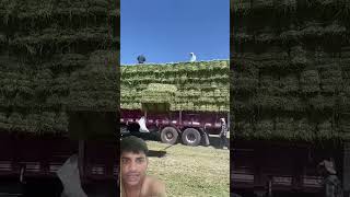 Sistemle Balye Yüklemek Çok Kolay Artık