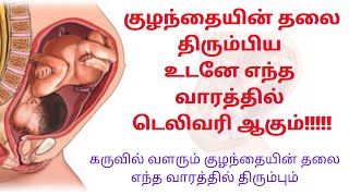 baby head down position symptoms in tamil | symptoms of baby turning head down in tamil|cephalic