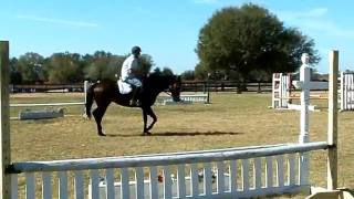 STARLET FLAT.AVI