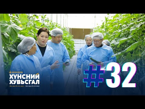 Хүнсний хувьсгал №32 | “Хүнсний хувьсгал”-ын хүрээнд хүлэмжийн аж ахуй эрхлэгчдийг дэмжинэ