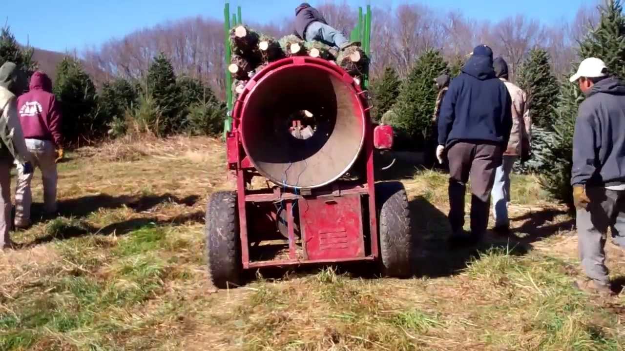 Ashe County Christmas Tree Association YouTube