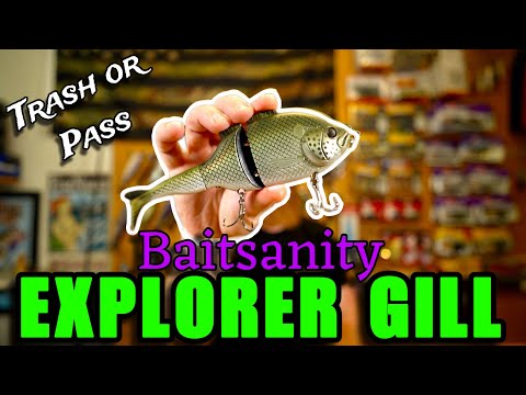 The BAITSANITY Explorer Gill || Trash or Pass