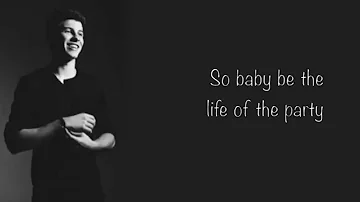 Shawn Mendes - Life of the Party (Lyrics)