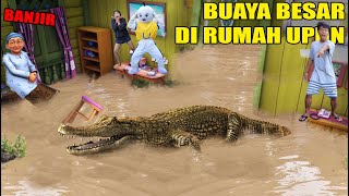 BUAYA BESAR MASOIUK RUMAH UPlIN SAAT BOUANJOUIER?!