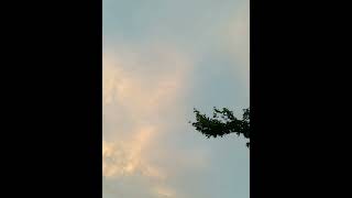 Download Lagu Into The Thick Of It x Little Einsteins x Rain Drop , Drop Top MP3