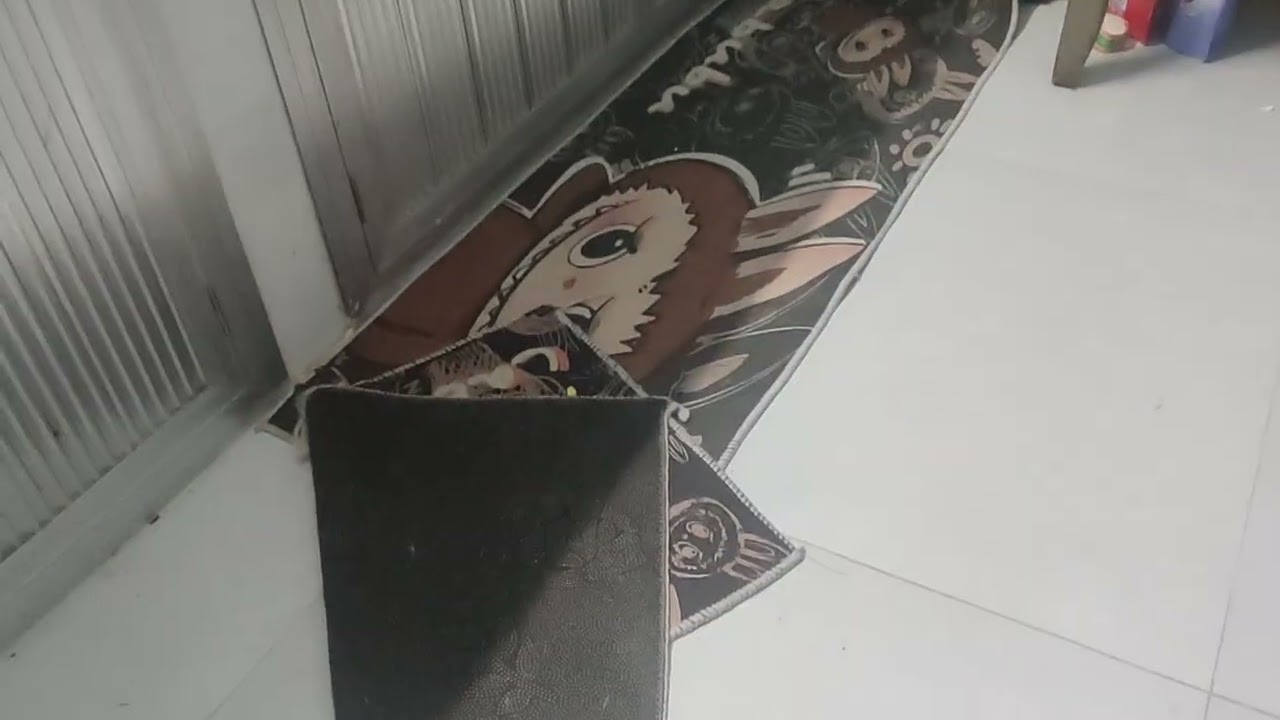 How To Morph Into a Chicken