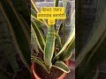 🌱किस्मत नही मेहनत कामयाब बनायेगी🌱😊#tyshorts #viraltrending #viralshort #motivational #yugandharshito