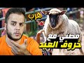 كيف هرب خروف العيد من بيتنا قصص الطفولة