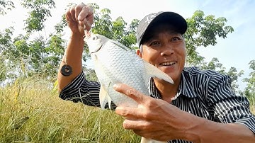 Theo Con Nước Lớn Sông Bé,Đụng Bầy Cá Cóc,Cá Duồng.