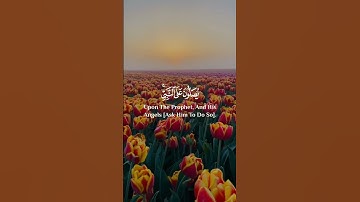 ان الله وملائكة يصلون على النبي | قران كريم | عمر الدريويز | حالات واتس #حالات_واتساب #عمر_الدريويز