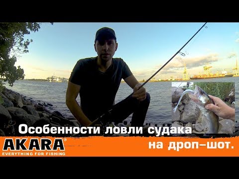 Особенности ловли судака на дроп-шот.