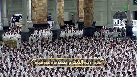 ‏هدوء آسر من سورة الأنفال للشيخ د. بندر بليلة | فجر الأربعاء 16-4-1447هـ