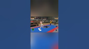 karate fighter - fight Kung Fu in this action game