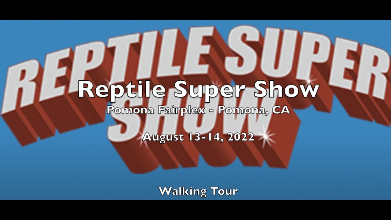 Reptile Super Show Pomona Fairplex August 2022 - Pomona, CA - Walking