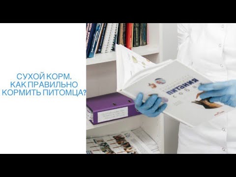 Сухой корм. Как правильно кормить питомца? Часть 1