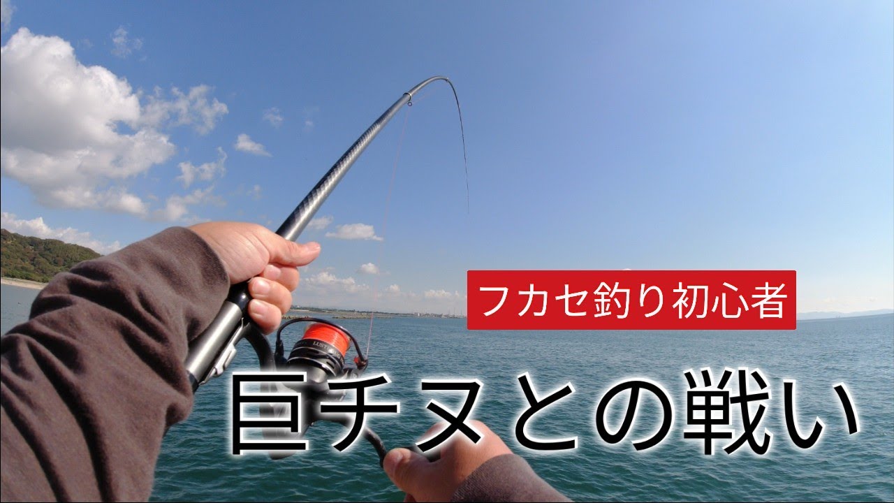 フカセ釣り初心者 巨チヌとの戦い 姫路海釣り公園 Youtube