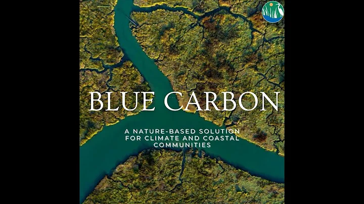 Blue Carbon: A Nature-Based solution for Climate a...