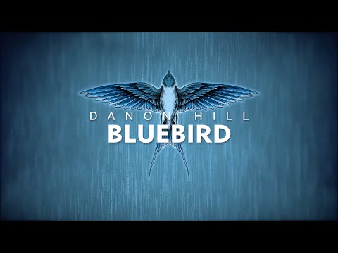 DANON HILL BLUEBIRD 