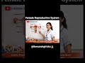 Female ReproductiveSystem🏥#nursetraining#medicalstudent #internationallyeducatednurse #mbbs#ytshorts