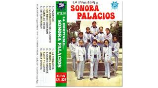 Video thumbnail of "Sonora Palacios  -  La Rebancha"