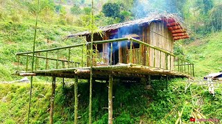 Full video 50 days to complete a bamboo house on a fish pond and start a new life