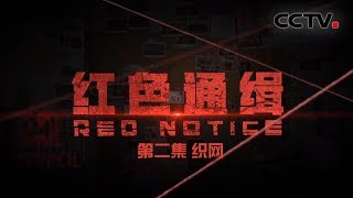 《红色通缉》 第二集 《织网》告诉你“天网”是怎样发挥作用的 | CCTV 国际追逃追赃纪实片