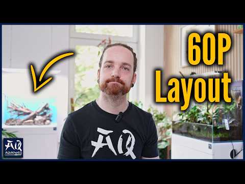 Setting up a 60cm aquarium with wood and stones | AquaOwner