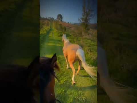 اكتب شيء تؤجر عليه