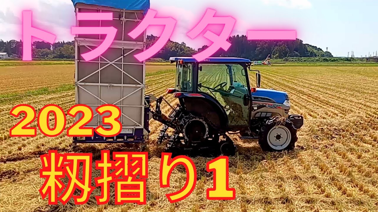 Hulling work 2023 Rice husk scattering with Maitaro MT-25X tractor