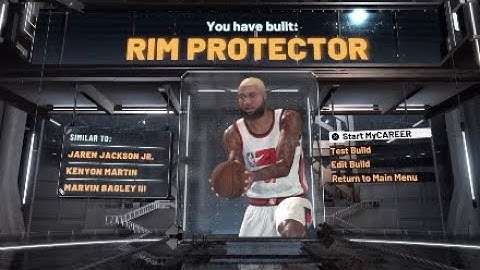 NBA 2K20 PURE RIM PROTECTOR BUILD TUTORIAL