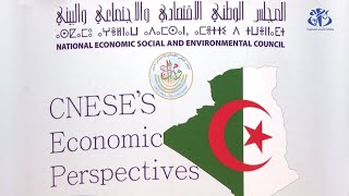 المجلس الوطني الاقتصادي والاجتماعي والبئيي : ضرورة إدماج القطاع الخاص في تمويل الاقتصاد الوطني