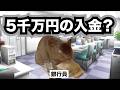 融資残高と同額の入金に気づき銀行員がパニックになる理由【他行借り換え】