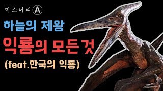 하늘을 날았던 가장 큰 동물, 익룡 / (feat. 한국의 익룡)