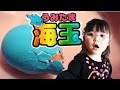 海玉（うみたま）たまごを水につけると、中からお魚がうまれるよ【かなちゃん4歳❀なみちゃん0歳】