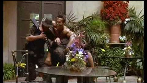 Austrian Death Machine - Let off Some Steam Bennett Fanvid