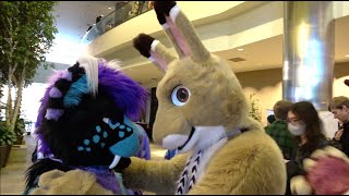 Kitwana's Fursuiting Frenzy: Anthro New England 2024