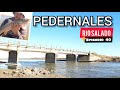 PESCA En el RIO SALADO Por Pedernales // Puente , rio , Naturaleza y muchas Carpas / Epi40 MJ-PESCA