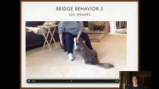 FDSA Workshop: Deb Jones- Like Clockwork; The Magic of Turning Behaviors into Chains