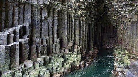 Pamięć o Łącznikach, drzewa krzemowe . 