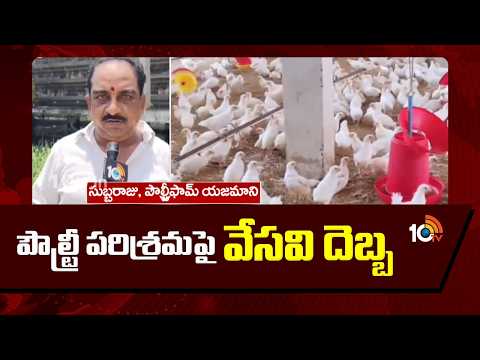 Heatwave Impact on Poultry Industry | పౌల్ట్రీ పరిశ్రమపై వేసవి దెబ్బ | 10TV News - 10TVNEWSTELUGU