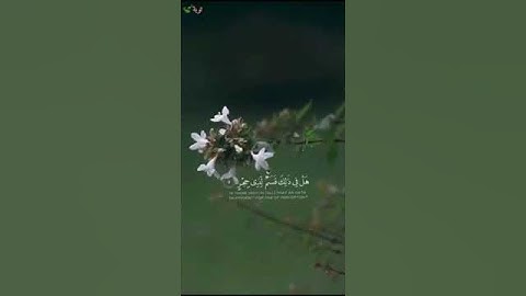 *تلاوة مؤثرة خاشعة وعطرة بصوت الشيخ ناصر القطامي.. ما تيسر من سورة الفجر*.