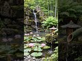 Piano &amp; Nature Water 🍃 Quick Healing &amp; Complete Peace #shorts