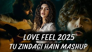 Tu Meri Zindagi Hai Unofficial Vishal Mishra | Fan-Made 4K Video Edit | Kartik Aaryan & Sreeleela