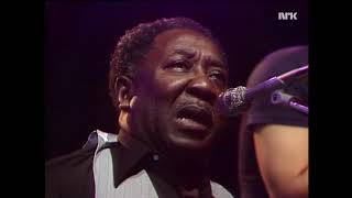 MUDDY WATERS BLUESBAND 1977