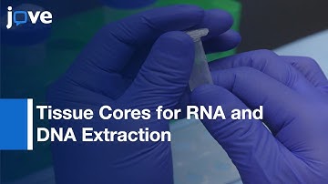 Preparation of Tissue Cores for RNA and DNA Extraction