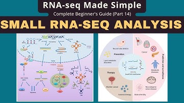 Small RNA-seq Analysis for Beginners | Comprehensive Guide (Part 14)