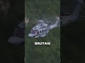 Helicópteros de Luxo Bilionários Que Compra Tempo